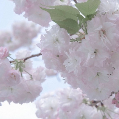 兽设线稿上色教程兽圈社群